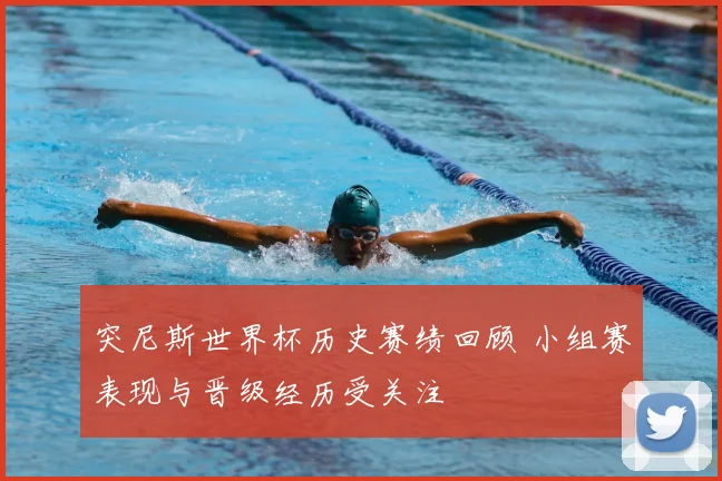 突尼斯世界杯历史赛绩回顾 小组赛表现与晋级经历受关注
