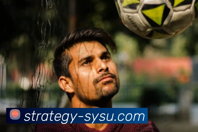 金年汇网页版登录入口发展历程